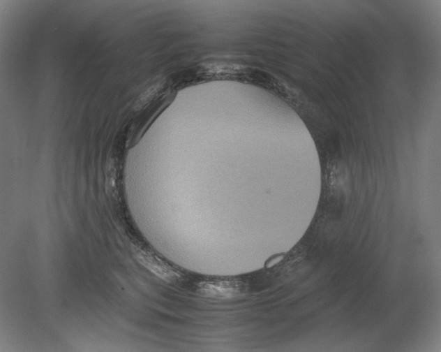 X0000080760567200701051239
