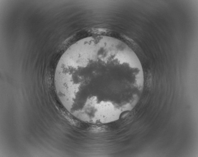 X0000080760569200701051239