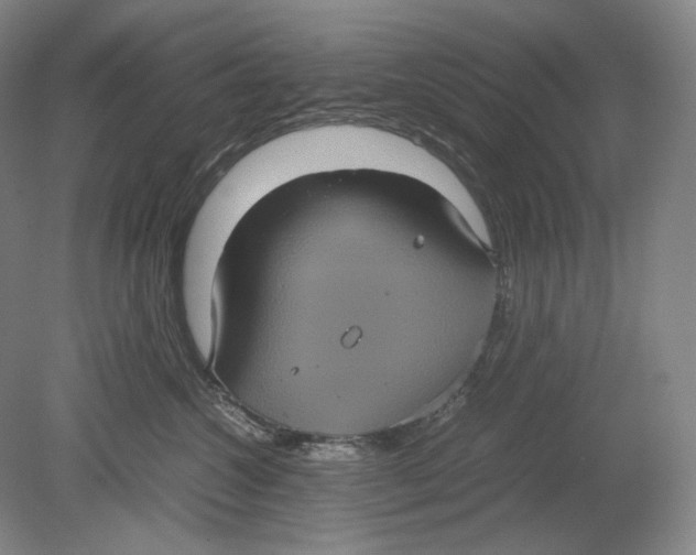 X0000080760572200701051239