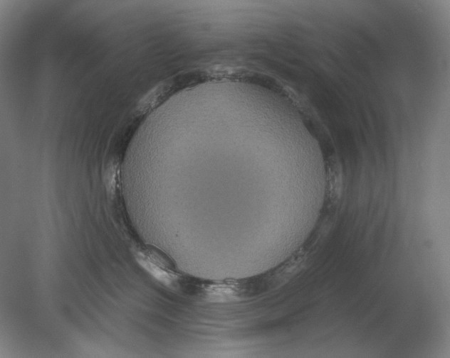 X0000080760574200701051239
