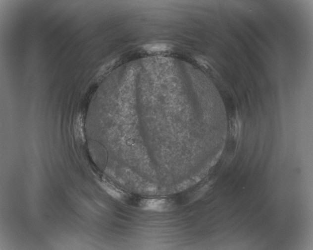 X0000080760575200701051239