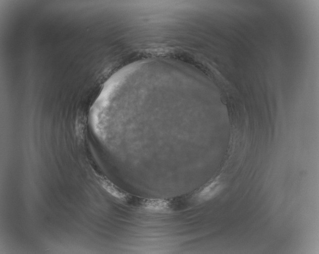 X0000080760576200701051239