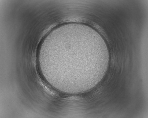 X0000080760578200701051238