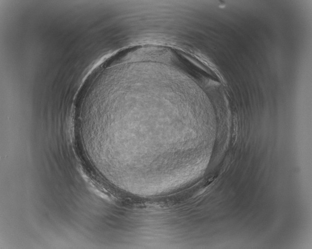X0000080760580200701051238