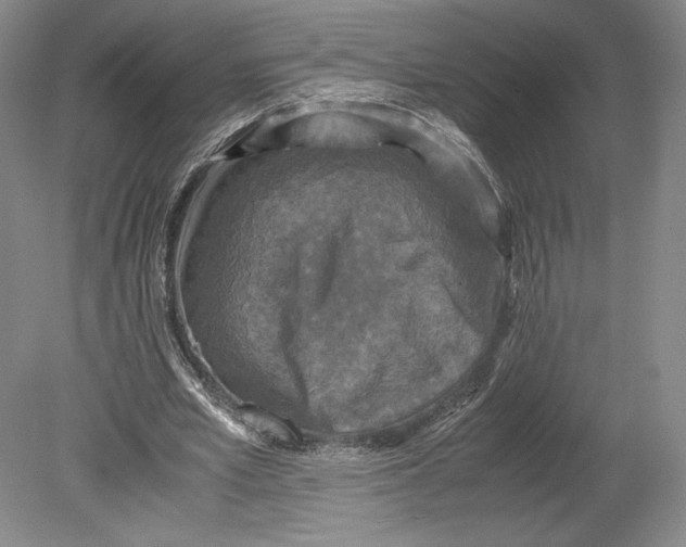 X0000080760581200701051238
