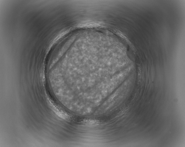 X0000080760582200701051238