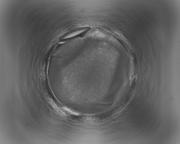 X0000080760585200701051238