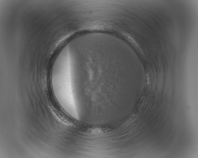 X0000080760588200701051238
