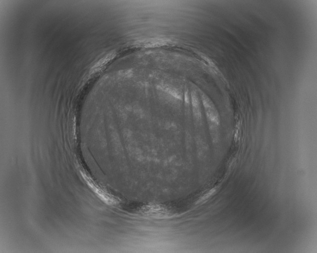 X0000080760589200701051238