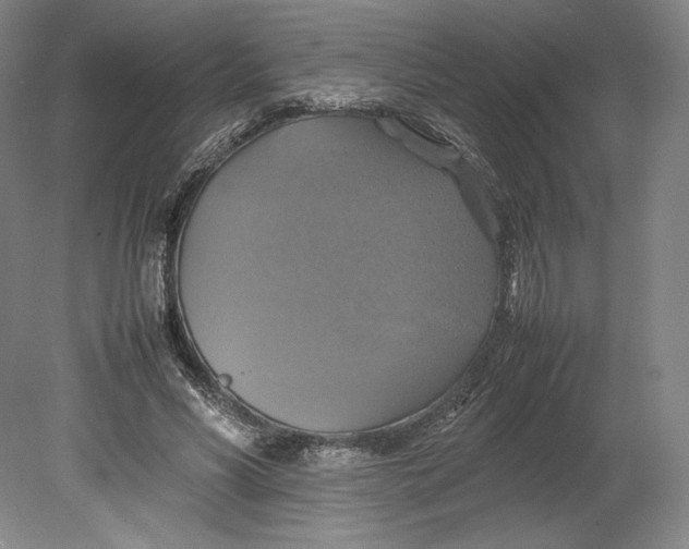 X0000080760590200701051238