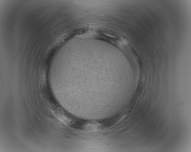 X0000080760595200701051238