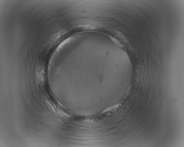 X0000080760596200701051238