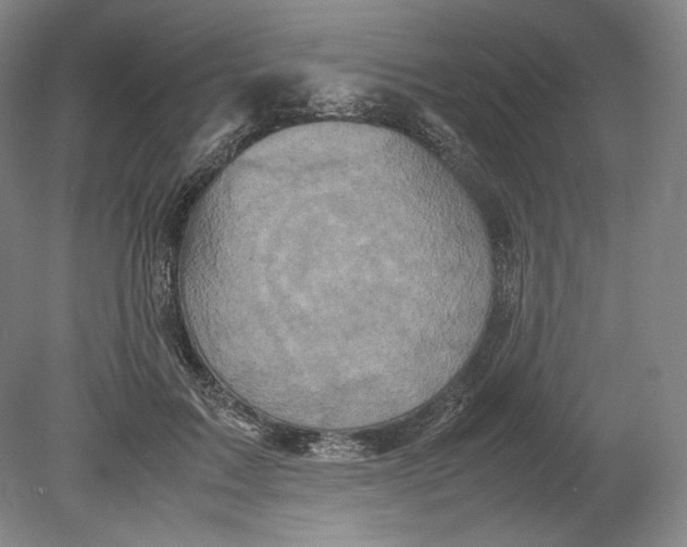 X0000080760603200701051238