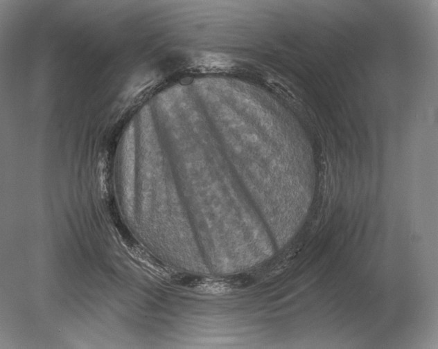 X0000080760604200701051238