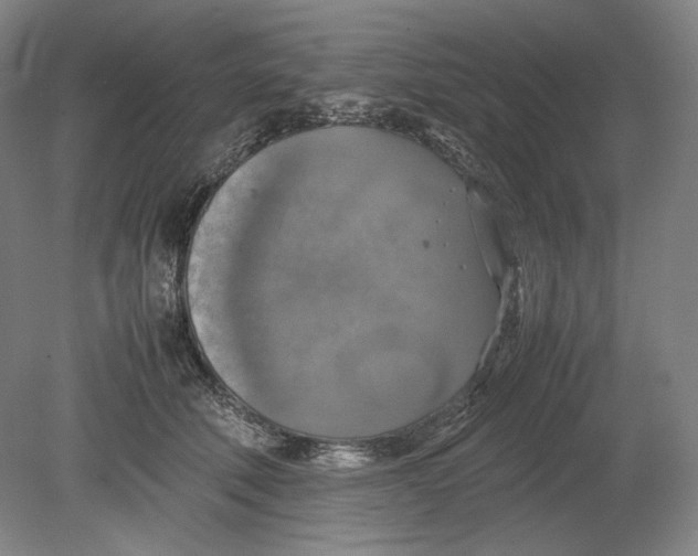 X0000080760610200701051238