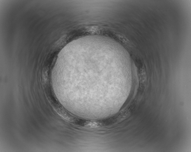 X0000080760611200701051238