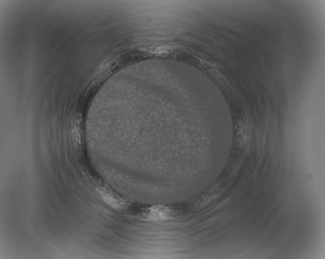 X0000080760612200701051238