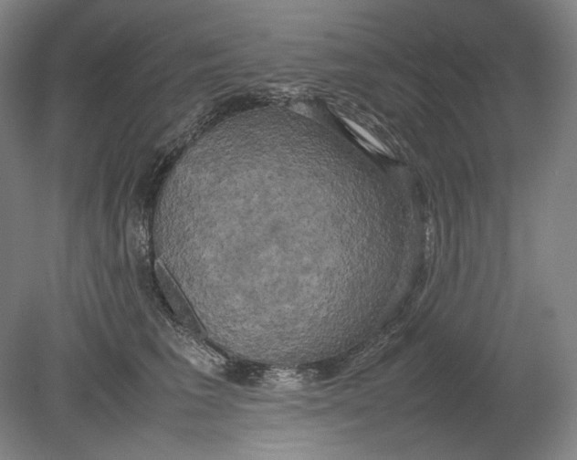 X0000080760613200701051238