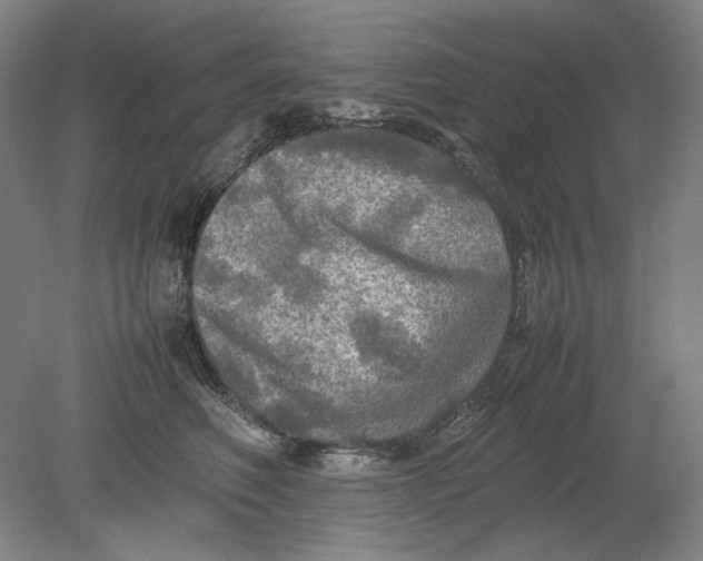 X0000080760614200701051238