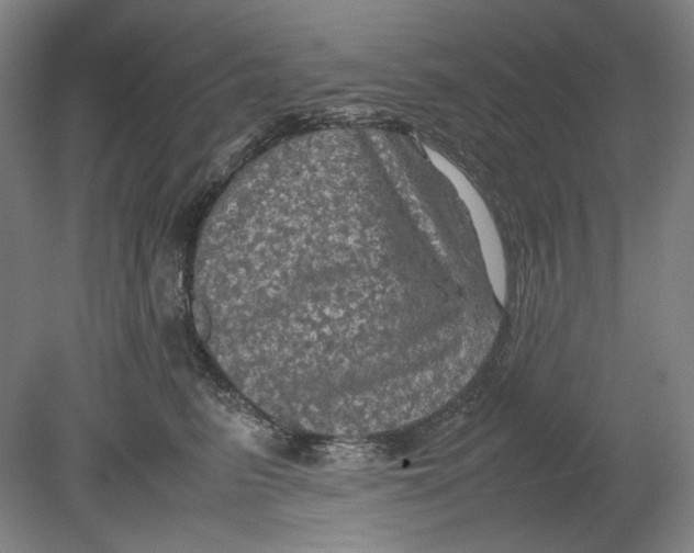 X0000080760615200701051238