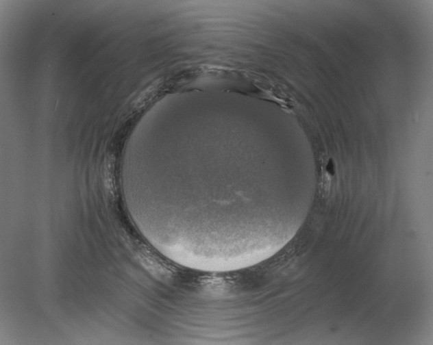 X0000080760616200701051238
