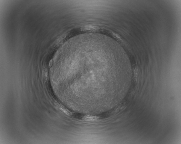 X0000080760617200701051238