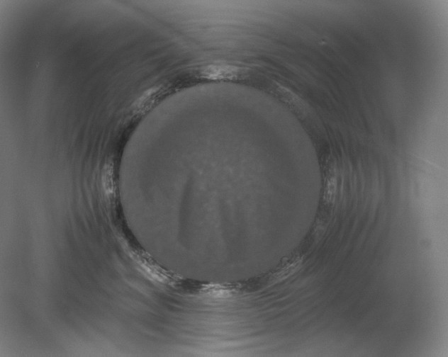 X0000080760620200701051238