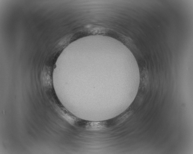 X0000080760622200701051238