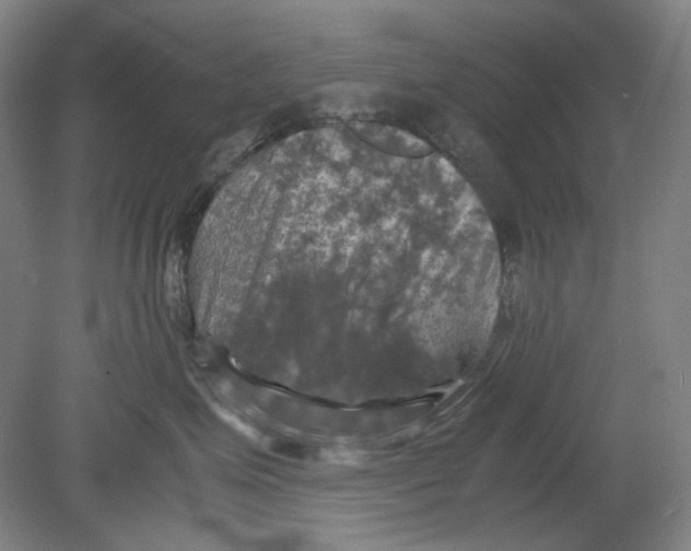 X0000080760623200701051237