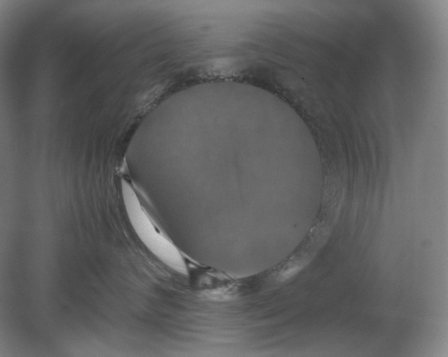 X0000080760624200701051237