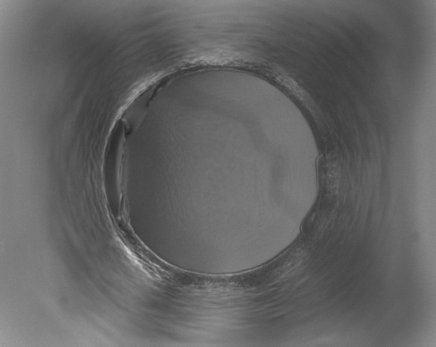X0000080760626200701051237