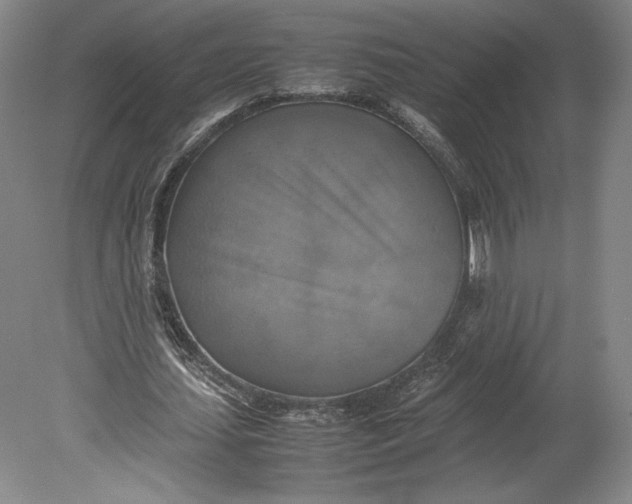 X0000080760627200701051237