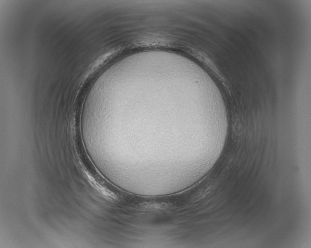 X0000080760629200701051237