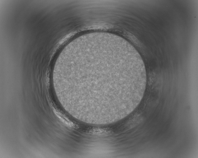 X0000080760632200701051237