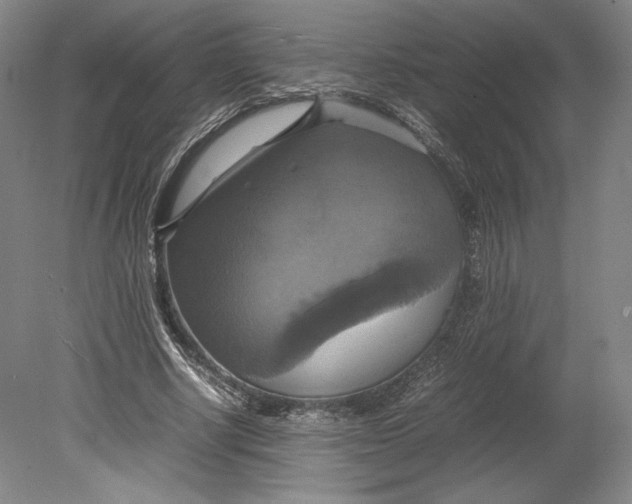 X0000080760634200701051237