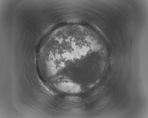 X0000080760637200701051237