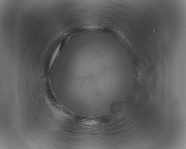 X0000080760643200701051237
