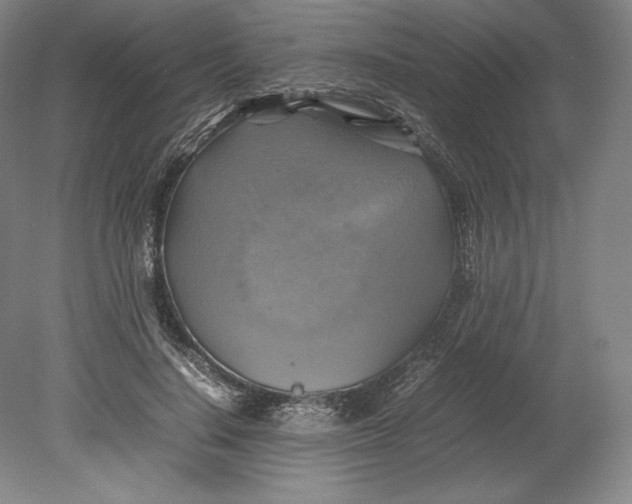 X0000080760644200701051237
