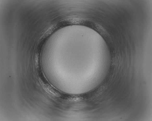 X0000080760646200701051237