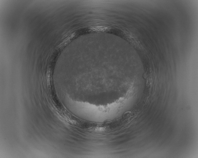X0000080760647200701051237
