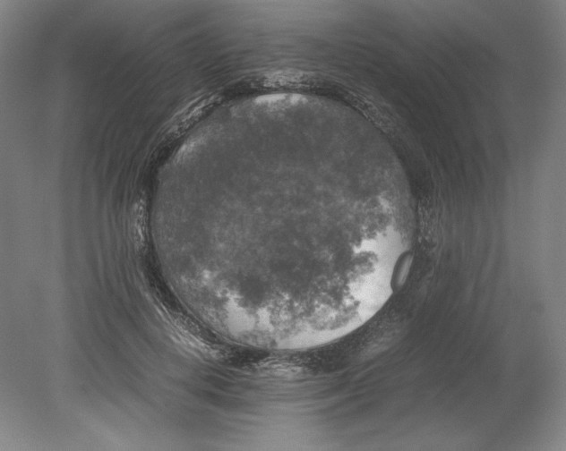 X0000080760648200701051237