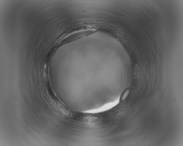 X0000080760650200701051237