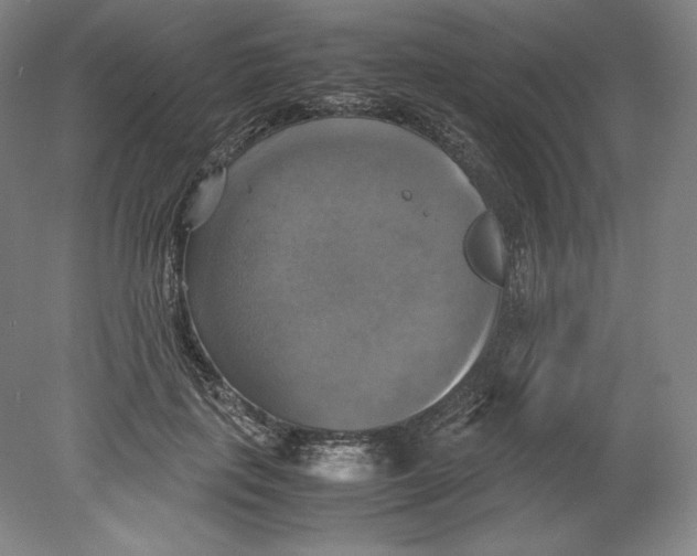 X0000080760651200701051237
