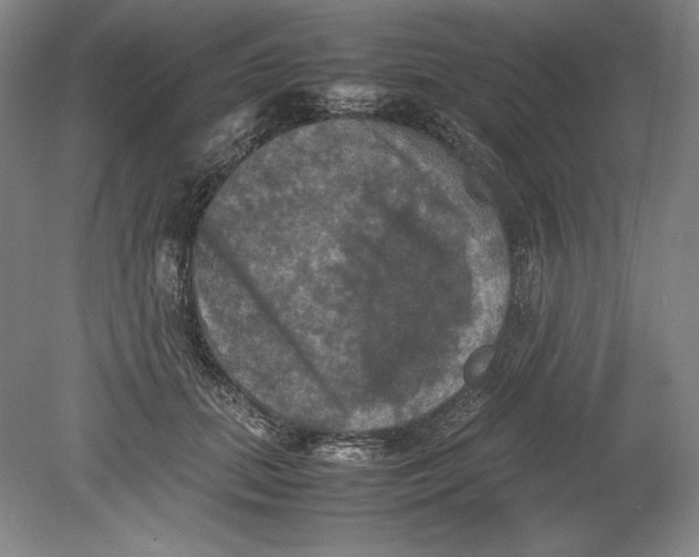 X0000080760655200701051237