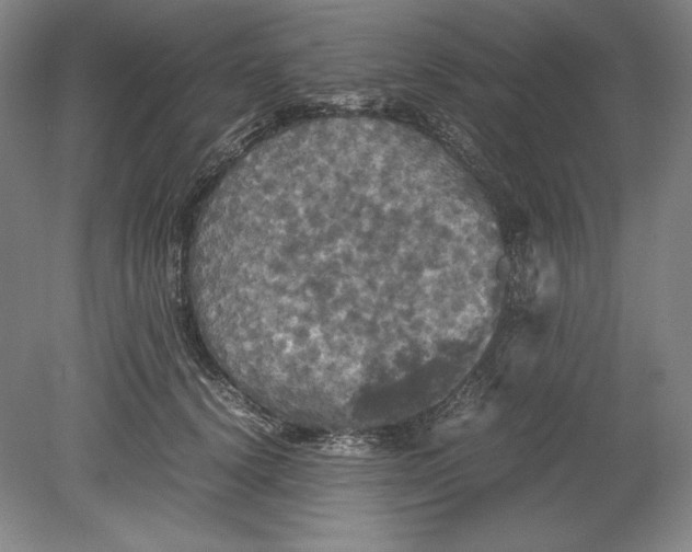 X0000080760656200701051237