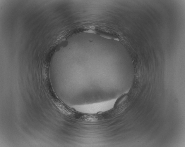 X0000080760658200701051237