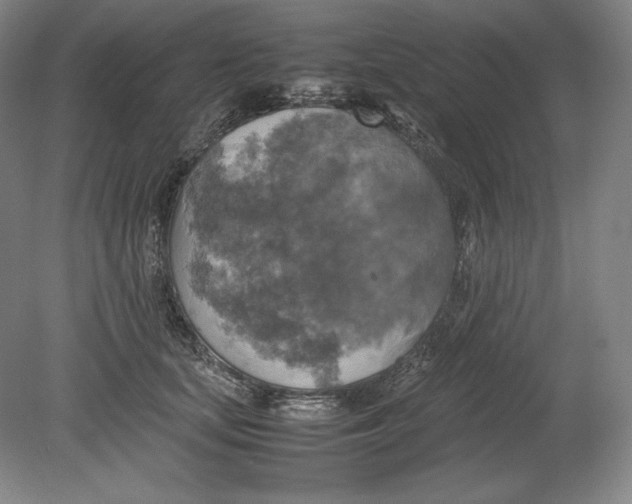 X0000080760659200701051237