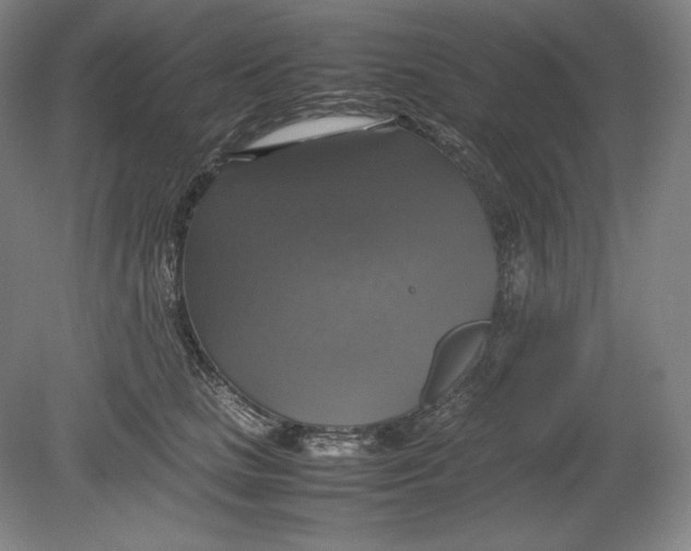 X0000080760661200701051237