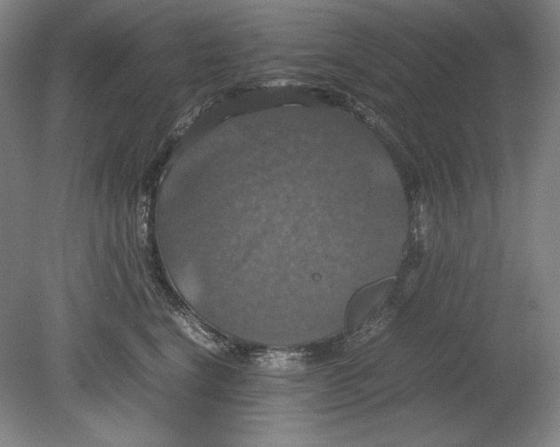 X0000080760664200701051237
