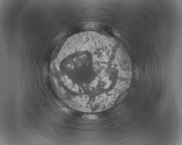 X0000080760665200701051237